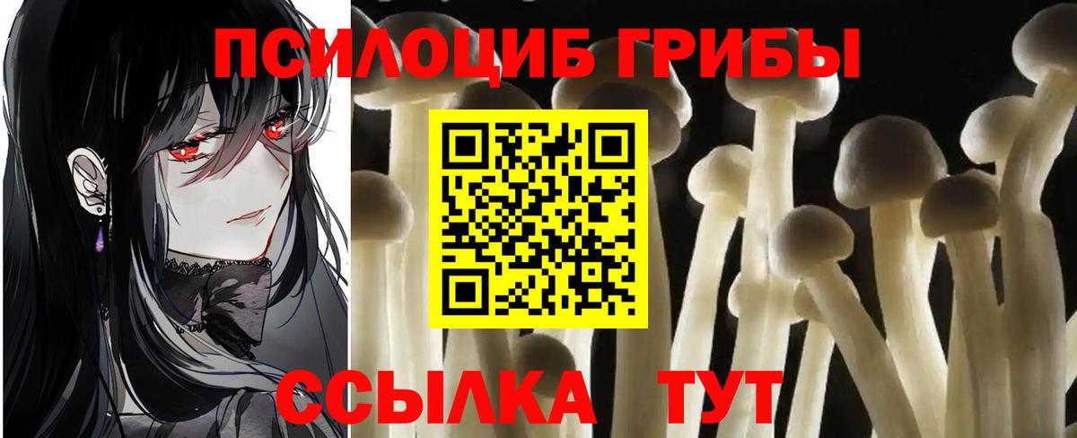 Псилоцибиновые грибы GOLDEN TEACHER Михайловка