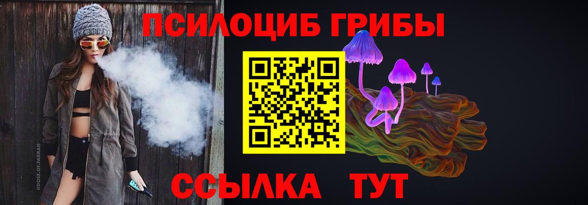 Псилоцибиновые грибы MAGIC MUSHROOMS  продажа наркотиков  Михайловка  Галлюциногенные грибы Psilocybe  Вход с VPN 
